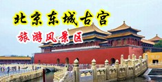 嗯嗯哦哦呻吟视频中国北京-东城古宫旅游风景区